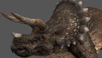 Triceratops 3D Model