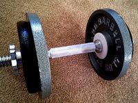 Weight Plate Adapter by SingerAudio