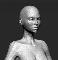 Female Basemesh 3D Model