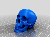 Improved Human Skull Pencil Topper by PocketBrain