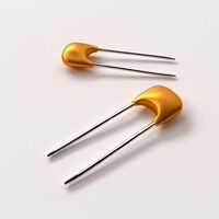 Capacitor v2 3D Model