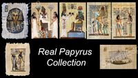 7x REAL PAPYRUS COLLECTION 3D Model
