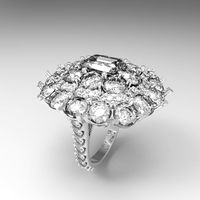 Flow ring 3D Model