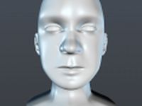 Male head 3D Model