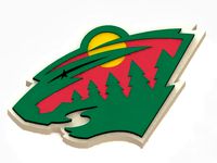 Minnesota Wild by 3dpoplauki