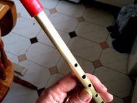 "Brass Qwistle" - Penny Whistle by donaldlindsay