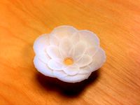 Flower Head by clhsu