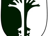 evermore hollow emblem by ProfessorScience