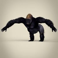 Low Poly Realistic Gorilla 3D Model