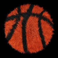 Carpet round Basketball 3D Model