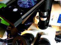 iphone 5s mount for 23.2mm microscope eyepiece by arekm