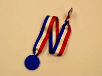 First Place Bridge Building Medal by lanceman