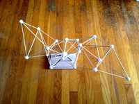 BernieNet2 - The Bird by Fredbartels