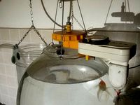 Stupid fish feeder from analog timer switch for your holidays by ceciox