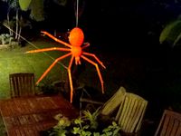 Creepy spider spinning web (hanging) by Makamaka