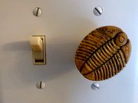 Trilobite dimmer knob by jridley