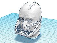 Darth Vader Face Reveal by MrPlastic