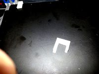 Zebra Plate Clip by bbrown1951