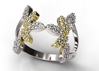 Ring 77-1 3D Model