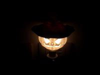 Magic hat + pumpkins by to186977