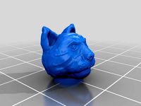 THE SERIOUS CAT BUTTON by braveheart