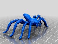 Burrow Spider by Hamerhand