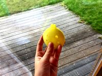 Ocarina by Lockheart