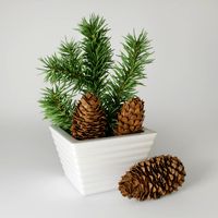 Christmas fir branches and cones 3D Model