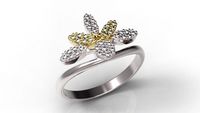 Ring 77-3 3D Model
