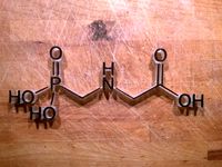 Glyphosate by NiklasN