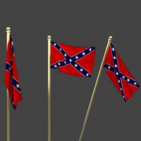 USA confederation flag