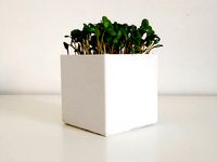 Little Square Planter by Pierree