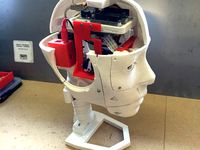Modified InMoov head, part 2. by monnerby