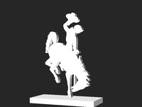 Wyoming Bronco Rider by daozenciaoyen