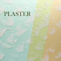 Plaster 3D Model