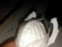 Warframe Valkyr 3d model by kontractor