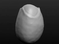 Amanita hemibapha_003 by masutakeko