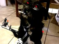 the nose cone by Will-ishere