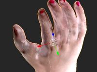 Hollies hand test texture by Anthromod