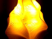 Lamp shade from analytic expression by Koli