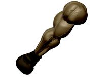 Boxer's Arm by Jakim