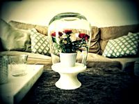 Flower pedestal with glass dome by romoe