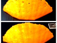 Shell tester by gpiffle