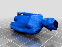 Yasmin - Initial Test Scan by robwick