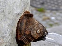 Fish fountain by JanuszT