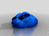 Medical Student Anatomy 1:1 Cut open heart by airforce