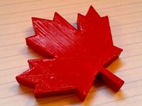 Maple Leaf Magnet by MorenaP