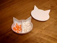 Cat shaped box with divider and small ramp for pills by pierceyuk