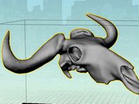 Wildebeest Skull by themakerspace