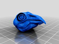 Bird Skull by ReneeCelDesign